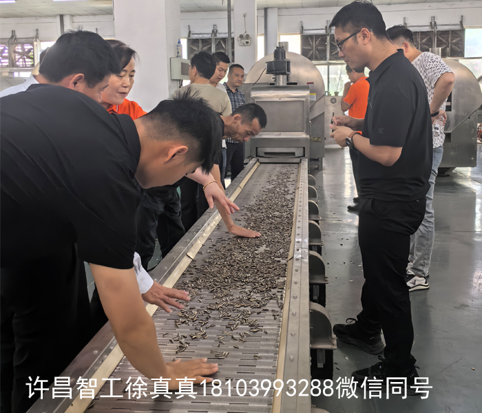 現(xiàn)場(chǎng)試機(jī)全自動(dòng)炒瓜子流水線(xiàn)一小時(shí)1噸