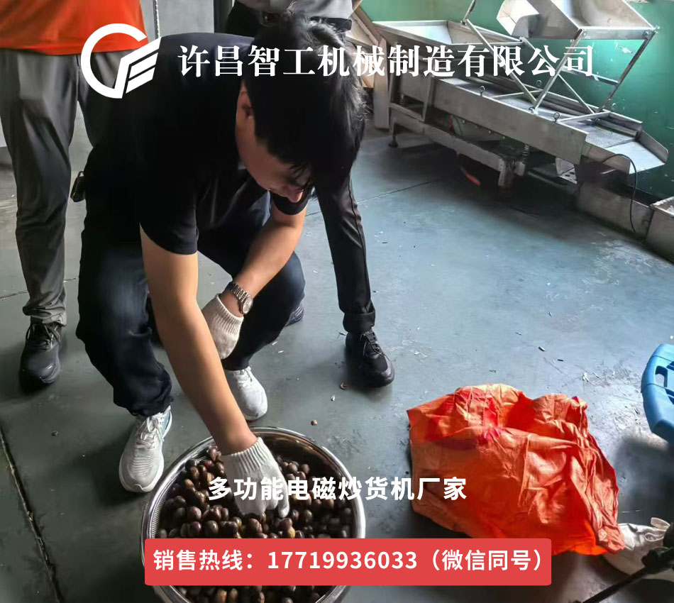上?？蛻魜?lái)廠試機(jī)加工炒制板栗